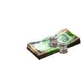 Police liability